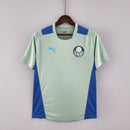 Camisa SE Palmeiras 2022/23 Training - ResPeita Sports 